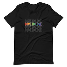 Load image into Gallery viewer, Love is Love Unisex T-Shirt (ADULT / PREMIUM)